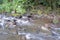 Avana stream Rarotonga Cook Islands