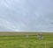 Avebury standing stones