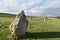 Avebury Standing Stones