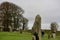 Avebury standing stones in winter