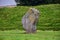 Avebury Stone Circle Henge monument standing in Wiltshire, southwest England, one of the best known prehistoric largest megalithic