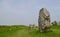 Avebury Stones View