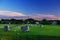 Avebury stones in Wiltshire