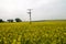 Avebury Wiltshire UK Fields