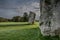 Avenbury monolith ridgeway in evening magical light.