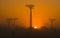 Avenue of baobabs at dawn in the mist. General view. Madagascar.