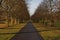 The Avenue, Bushy Park