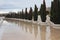 Avenue of cypresses, `City of art and science`. Valencia, Spain