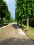 An avenue, idyllic landscapes planted by humans