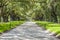 Avenue of Oaks at Boone Hall Plantation