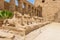 Avenue of Ram-headed Criosphinxes at the Temple of Amun, Karnak, Luxor, Egypt