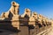 Avenue of the Rams Headed Sphinxes at the Karnak Temple complex in Luxor