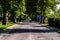 Avenue - Road With Line Of Trees In Yalova City - Turkey