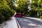 Avenue - Road With Line Of Trees In Yalova City - Turkey