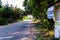 Avenue - Road With Line Of Trees In Yalova City - Turkey