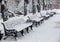 Avenue with a row of benches during strong wind and snowstorm at winter in Moscow, Russia. Scenic view of a snowy city