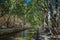 Avenue with sidewalk full of trees, canal to the center and a sunny blue sky, in Nimes.