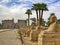 Avenue with sphinx figures at the temple of Karnak in Egypt