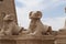 Avenue of sphinxes in Karnak Temple Egypt
