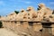 Avenue of sphinxes in Precinct of Amun-Re (Karnak Temple Complex, Luxor, Egypt)