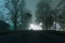 An avenue of trees, with a car parked in the distance, on a foggy, moody, scary, winters night. UK