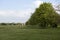 Avenue of trees on Durdham Down, Bristol