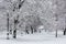 Avenue with trees during snowstorm at winter in Moscow, Russia. Scenic view of a snowy city street. Moscow snowfall