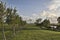 Avenue Of Trees To A Country Windmill