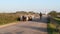 Avetrana, Italy, - May, 12, 2020, A herd of goats and sheeps is going to the road on a sunny day. Goat breeding in Salento, Puglia