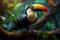 Avian beauty a toucans portrait showcasing vibrant feathers in the forest