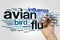 Avian flu word cloud concept on grey background