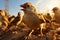 The avian symphony Passer montanus sparrows in a lively flock