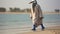 Avian-themed Subversive Appropriation: A Heron\\\'s Journey On A Saudi Arabian Beach