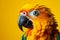 Avian vibrance sunlit parrot in vivid colors against yellow backdrop