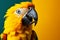 Avian vibrance sunlit parrot in vivid colors against yellow backdrop