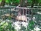 Aviary with capybara in city zoo