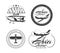 Aviation, airplane vector badges, logos, emblems, labels