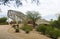 Aviation Bikeway and Rattlesnake Bridge, Tucson, Arizona