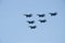 Aviation group `Russian knights` show aerobatics on SU-27 at the air show