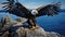 aviation navy eagle