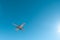 Aviation, travel concept. Airplane in blue sky