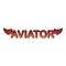 aviator logo sign icon theme red wing