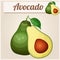 Avocado 2. Cartoon vector icon