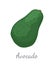 Avocado Alligator Pear Exotic Juicy Fruit Vector