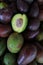 Avocado background.The avocado is a tree that is native to South