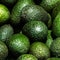 Avocado background. Fresh green avocado