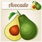 Avocado. Cartoon vector icon