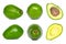 Avocado collection. Avocado set isolated on white background. Avocado macro