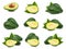 Avocado collection isolated Clipping Path