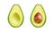 Avocado collection isolated on white. Vector illustration